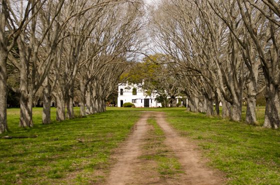 Estancia La Porteña