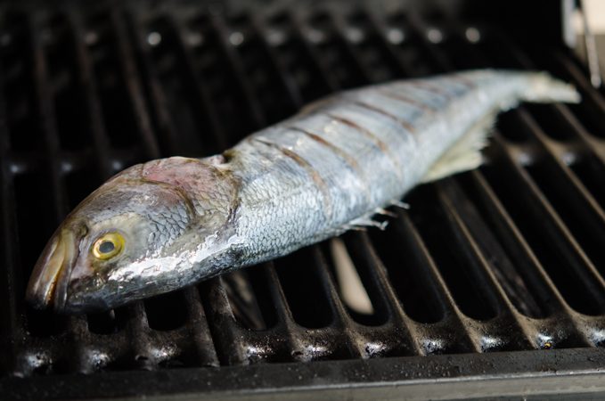 A whole fish placed on a grill.