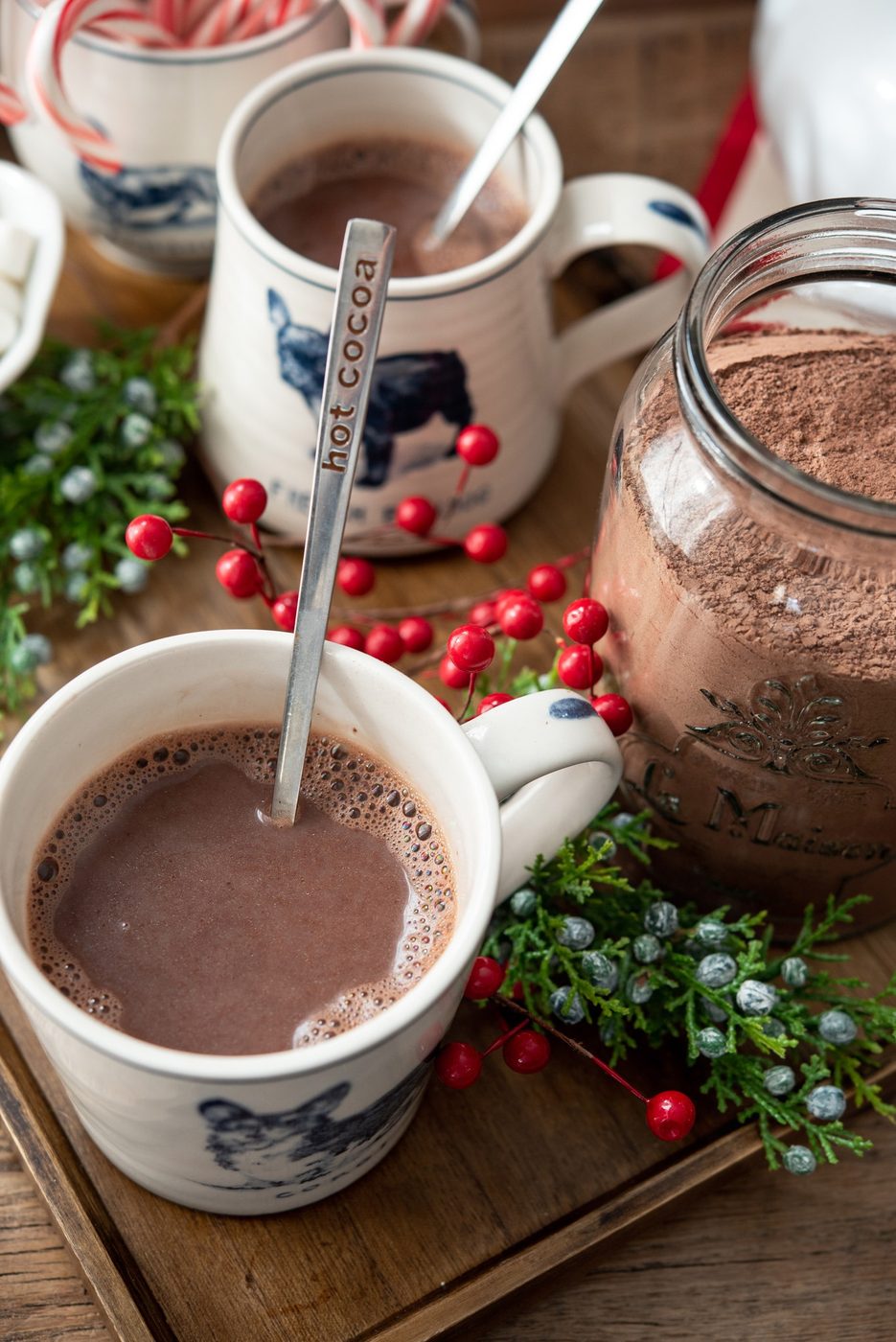 Hot cocoa made with kitchen-made mix in a mug cup.
