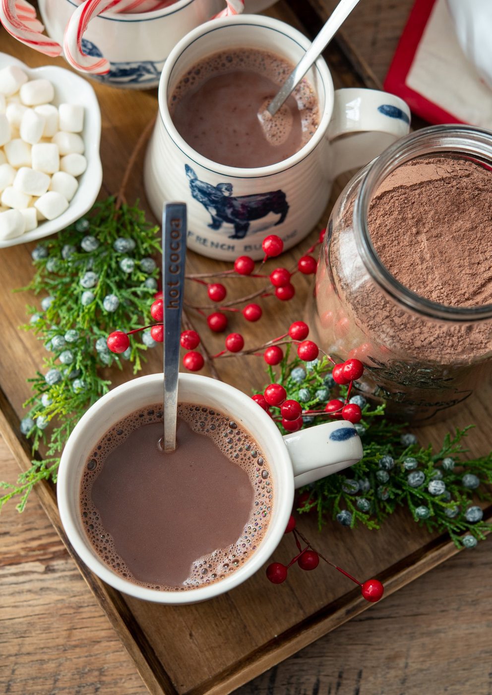 Hot chocolate in a mug with kitchen-made cocoa mix and marshmallow.
