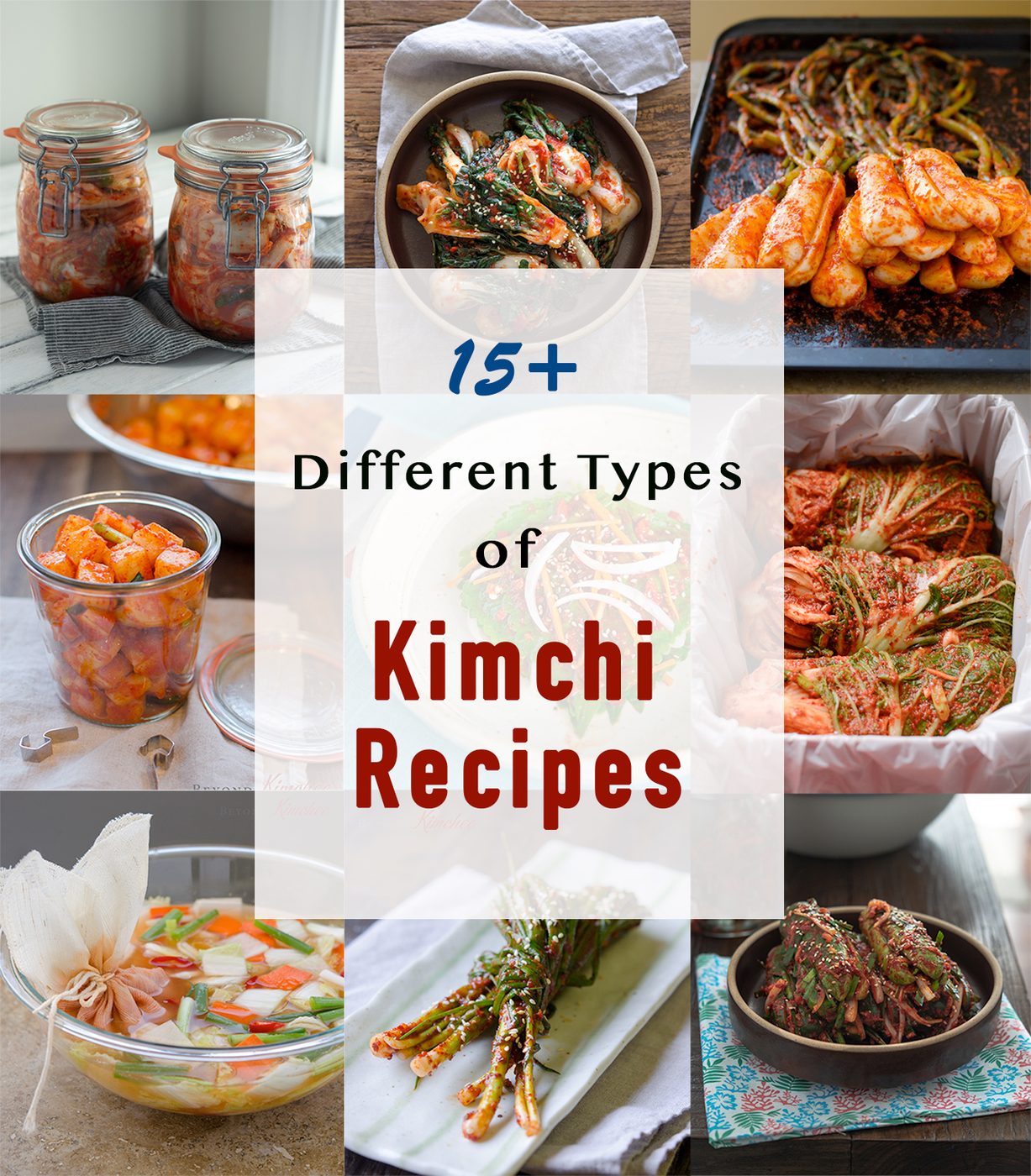 A collection of classic Korean kimchi recipes with a different variety.