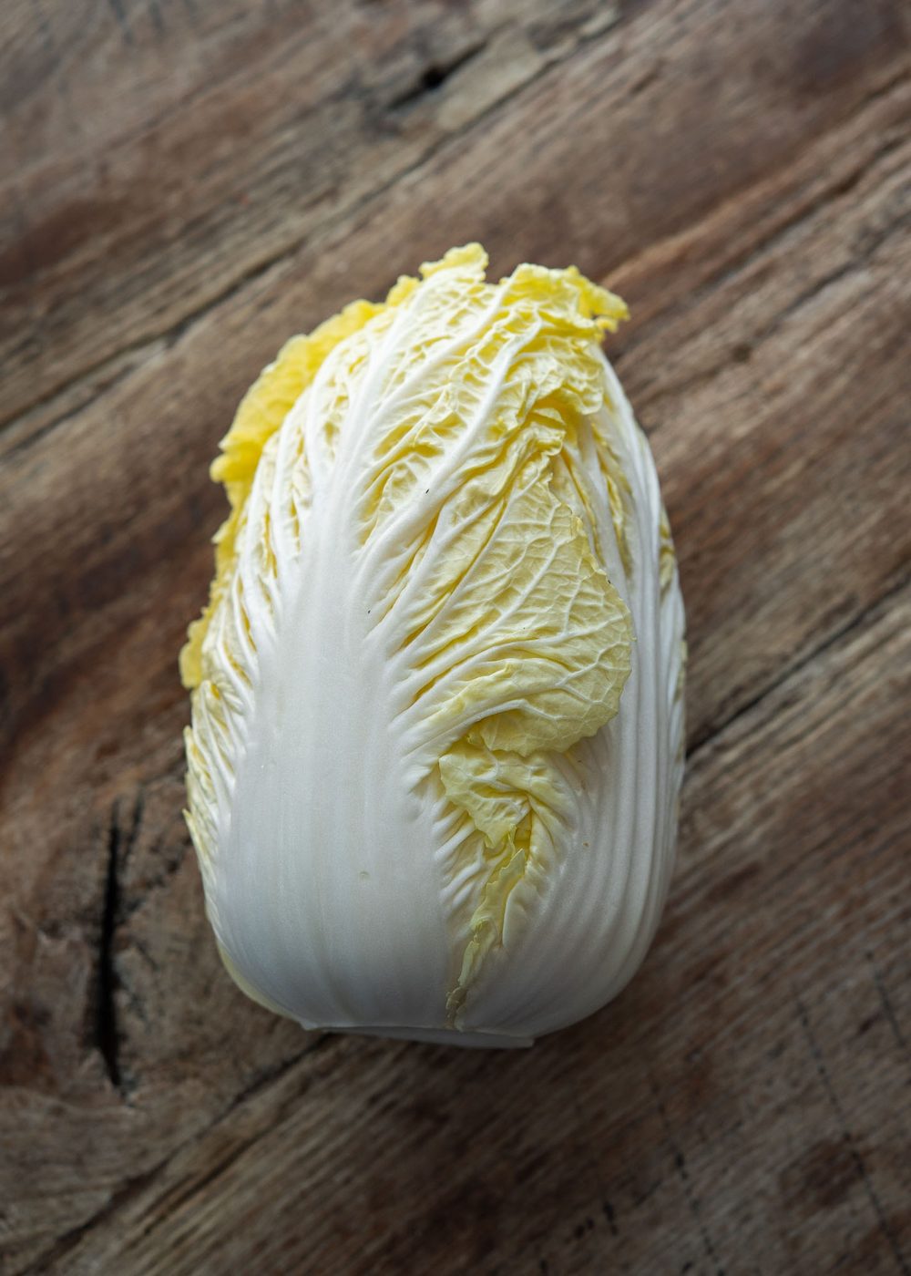 Young napa cabbage hearts presented to make kimchi geotjeori