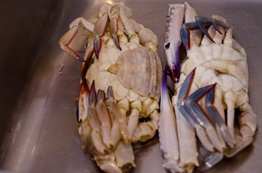 Korean Chili Crab, or Kkotgae Jjim