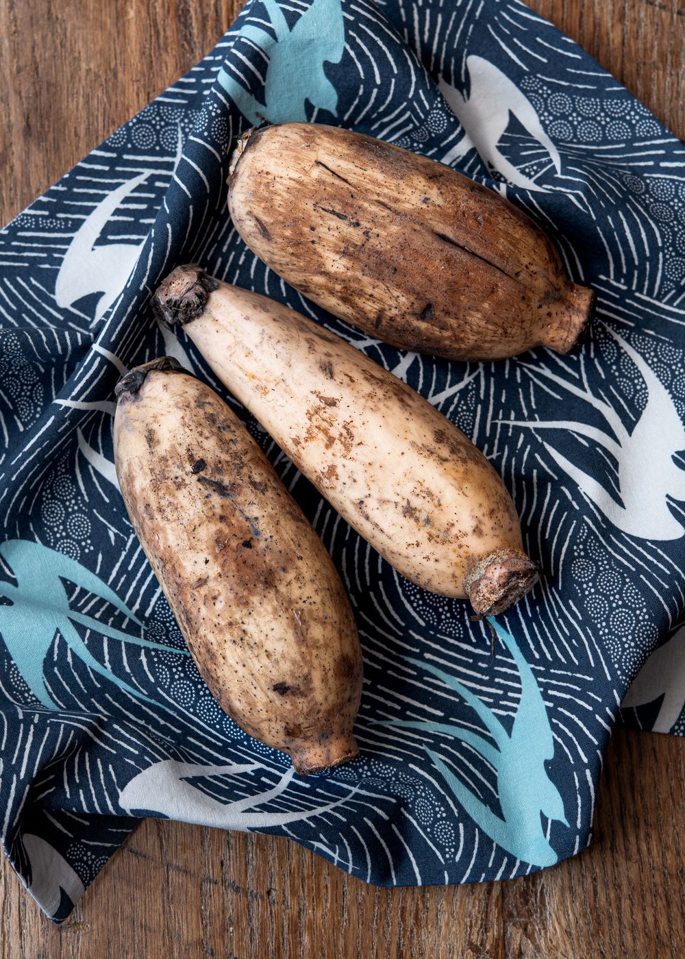 Whole fresh lotus roots placed on a blue kitchen towel