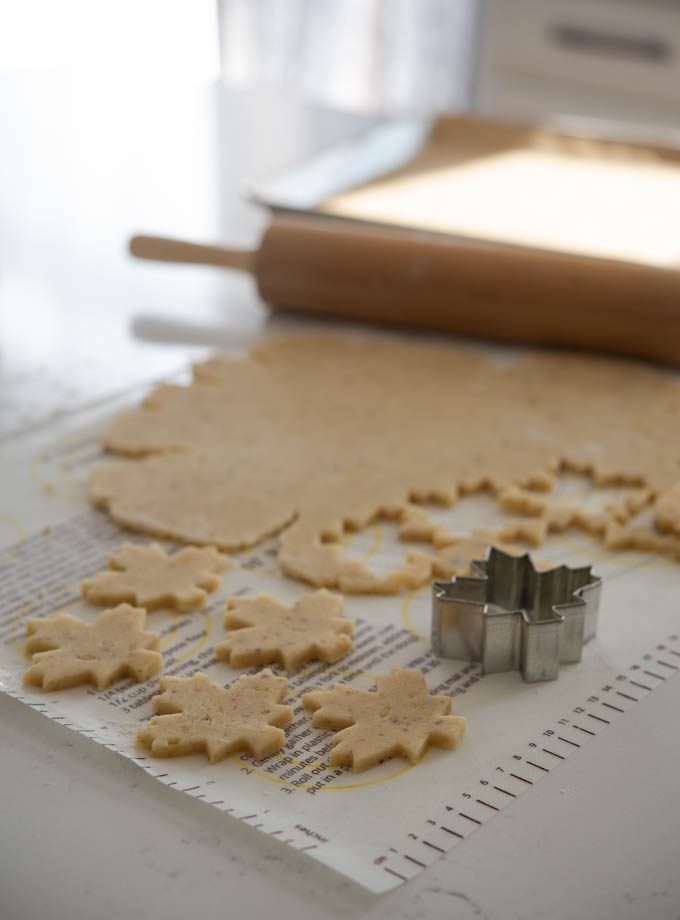 Maple walnut cookie dough rolled and cut out with a cookie cutter.