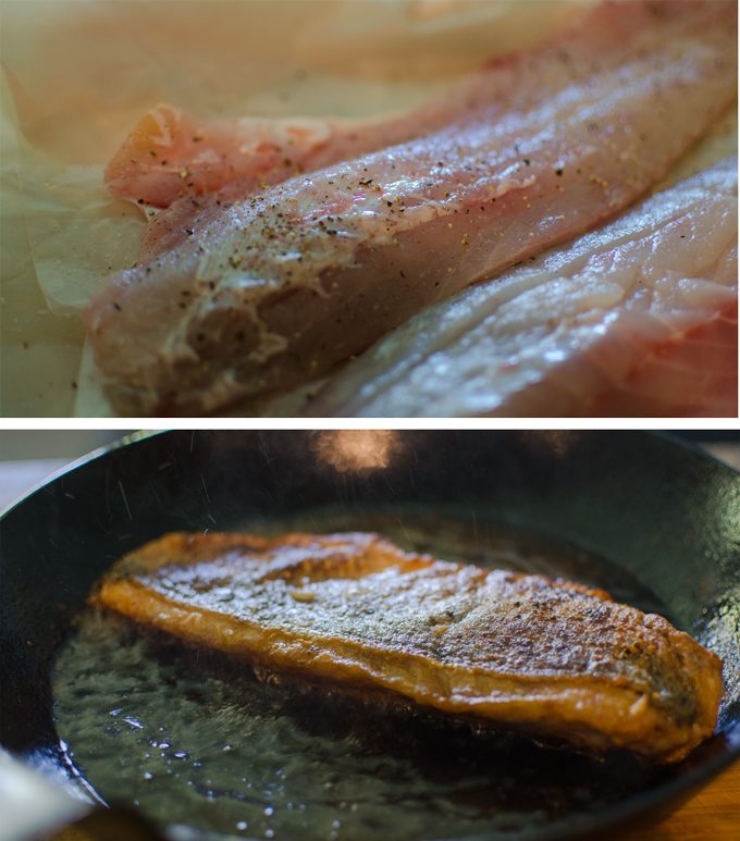 Mexican Style Fish