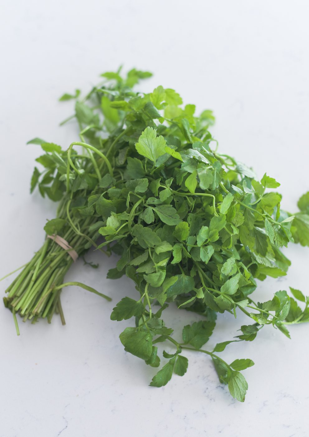 A bunch of minari (water dropwort) is shown.