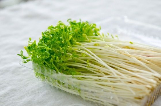 Fresh pea sprouts.