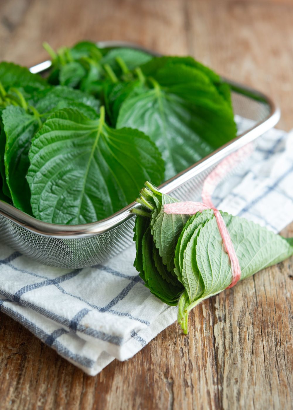 A bundle of perilla leaves shown