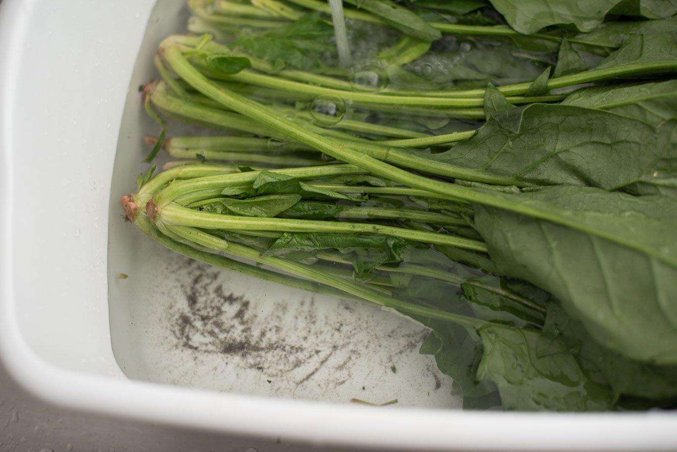A bunch spinach soaking in cold water to remove the trapped dirt.