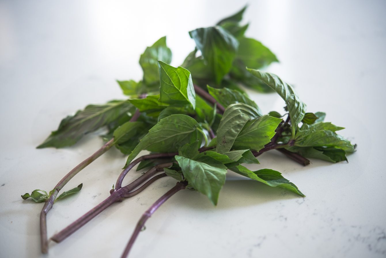 Fresh Thai basil with purple stems