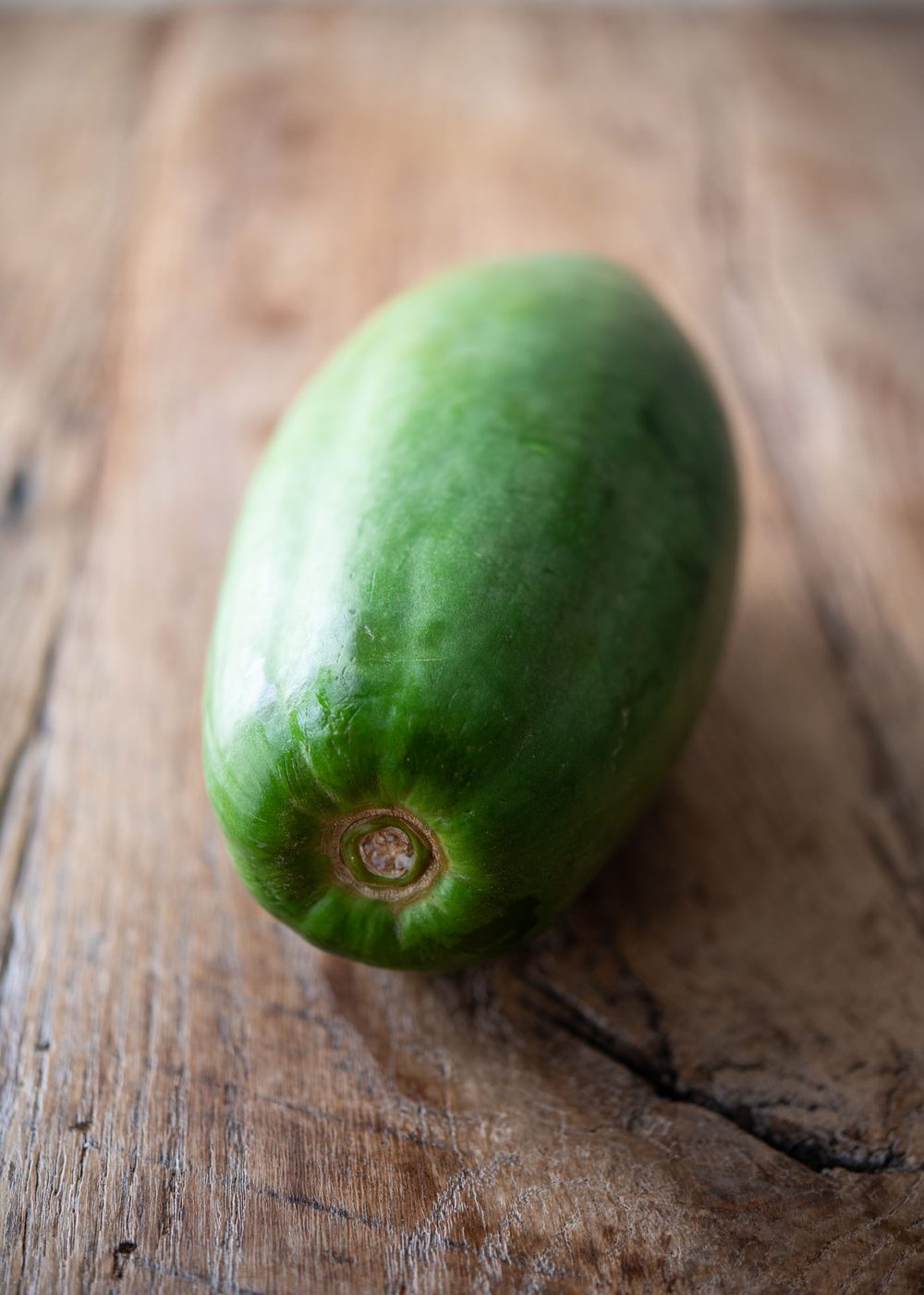 Whole unripe green papaya before shredding