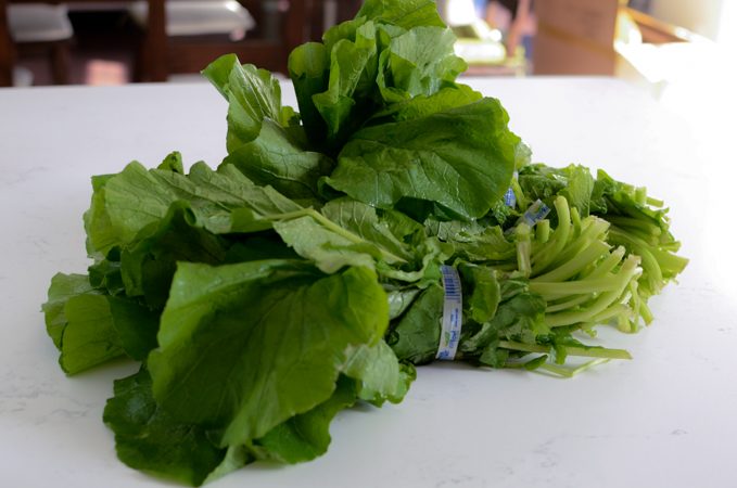 A bunch of turnip greens.