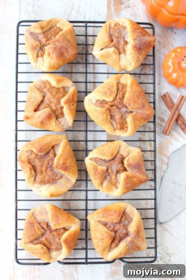 Spiced Pumpkin Pockets 2 Delicious pumpkin filled pastries cooling on a wire rack, ready to be enjoyed.