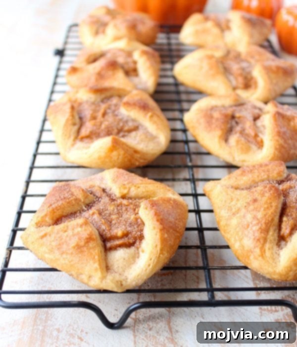 Spiced Pumpkin Pockets 6 Freshly baked pumpkin pastries, golden brown and puffed, cooling on a black wire baking rack.