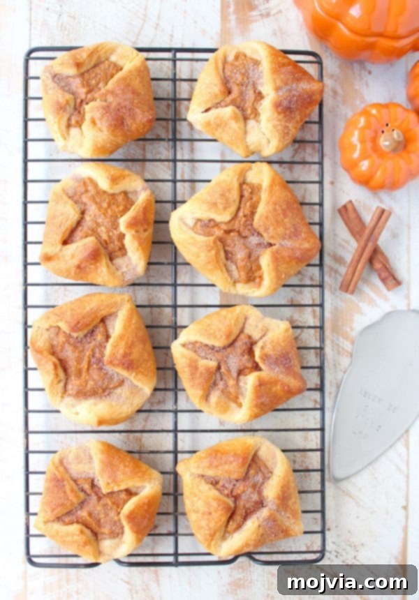 Spiced Pumpkin Pockets 7 Close-up of baked pumpkin filled pastries, perfectly golden and inviting, arranged on a wire baking rack.