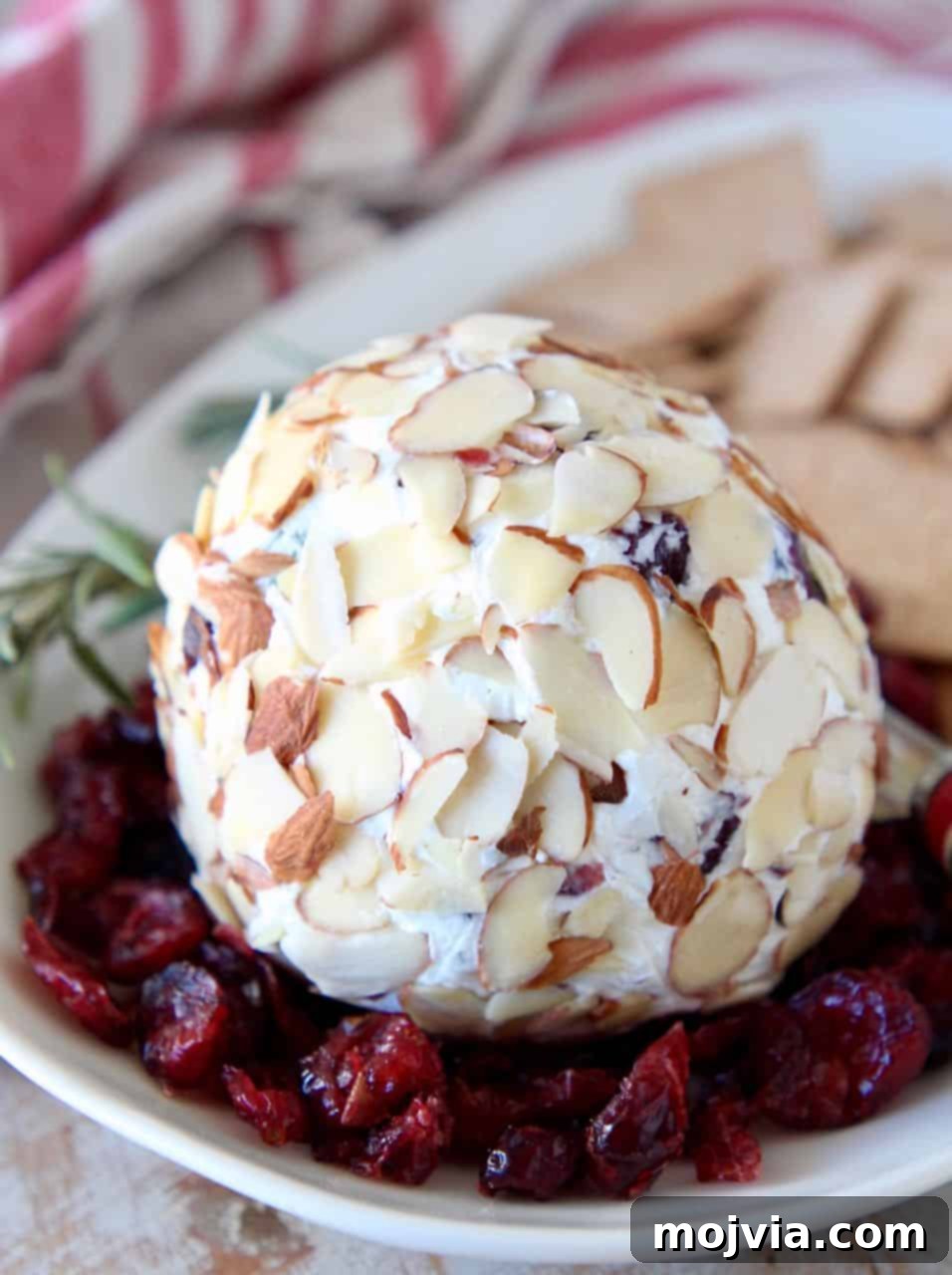 Sweet & Tart Cranberry Chevre Ball 2 Vibrant Cranberry Goat Cheese Ball presented on a serving plate, surrounded by dried cranberries and an assortment of crackers, ready for holiday entertaining.