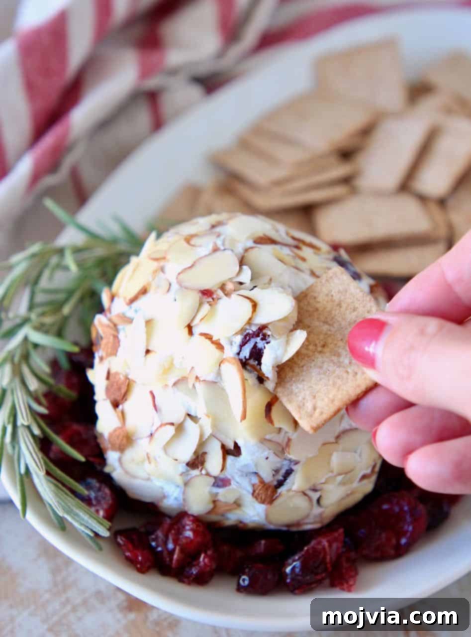 Sweet & Tart Cranberry Chevre Ball 5 A close-up shot of a hand gracefully dipping a cracker into a creamy goat cheese ball, showcasing its inviting texture and deliciousness.