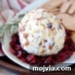 Goat cheese ball on plate surrounded by dried cranberries