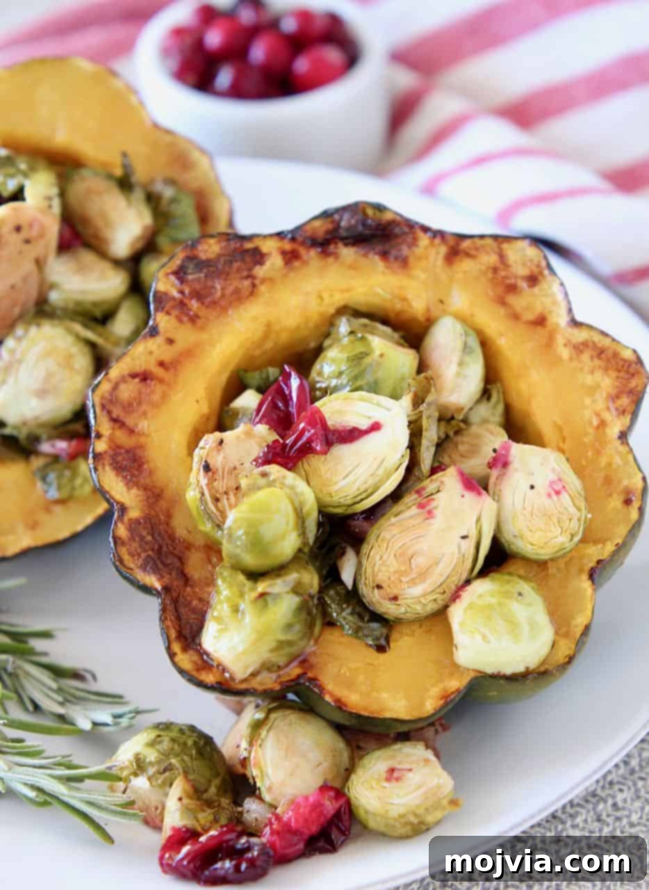 Autumn Harvest Acorn Squash with Cranberry and Brussels Sprout Filling 3 Roasted acorn squash stuffed with brussels sprouts and cranberries, ready to be served