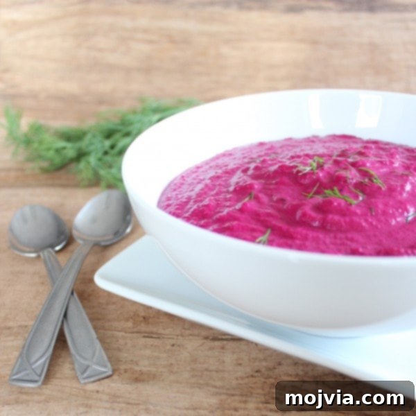 Vibrant Beetroot Chill 3 Beet Soup Recipe