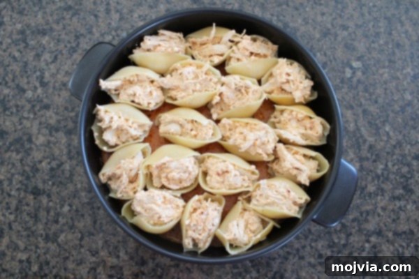 Stuffed pasta shells arranged neatly in a baking dish.