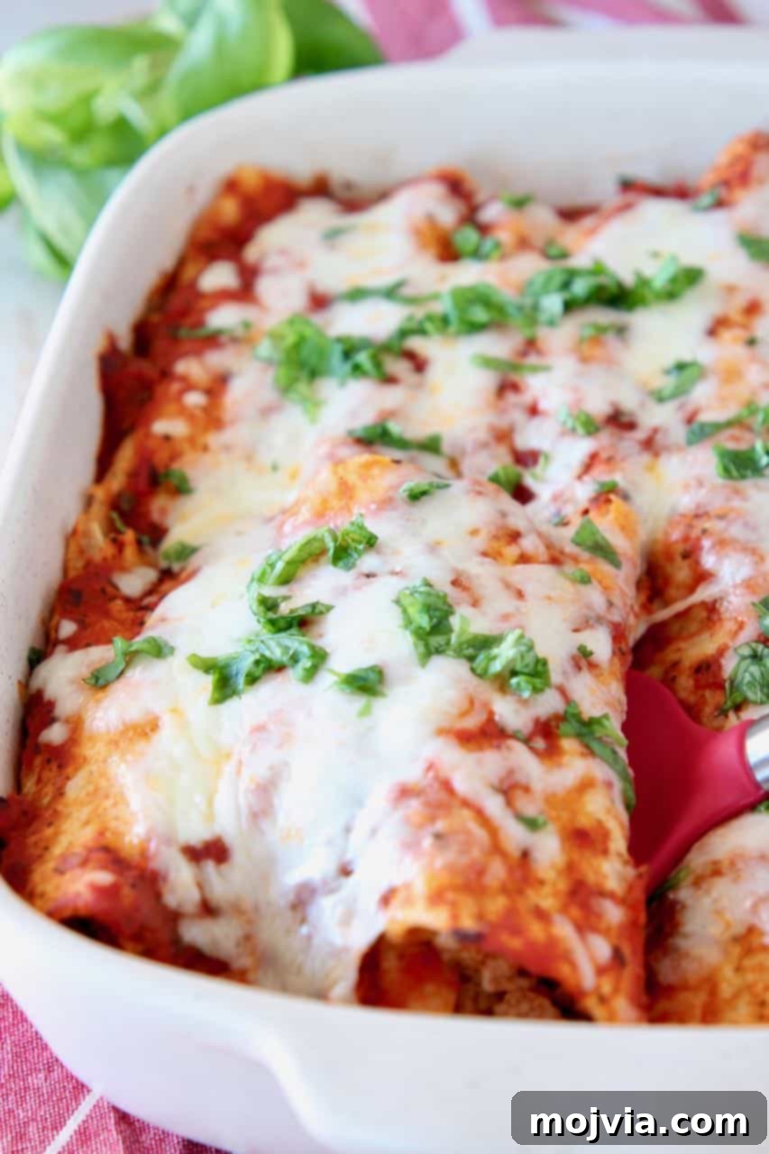 Enchiladas in casserole dish, freshly baked and golden