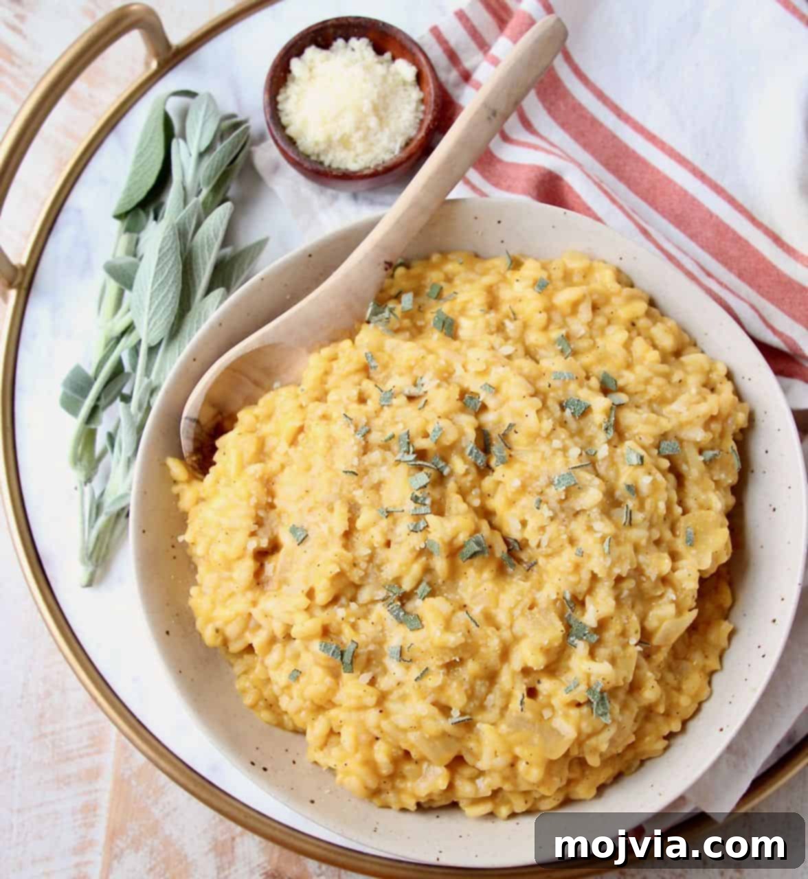 Velvet Butternut Risotto 3 Overhead image of butternut squash risotto in bowl with spoon