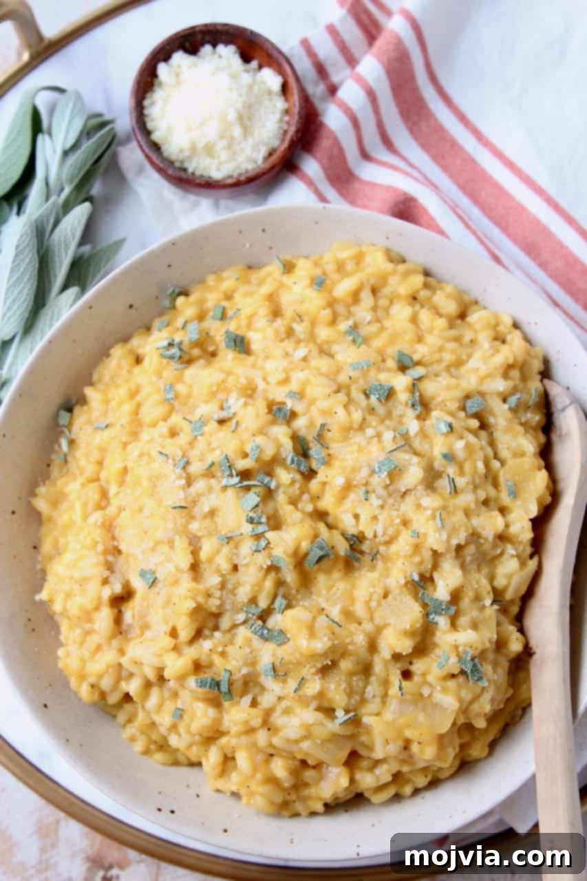 Velvet Butternut Risotto 5 Risotto with butternut squash puree in bowl with spoon