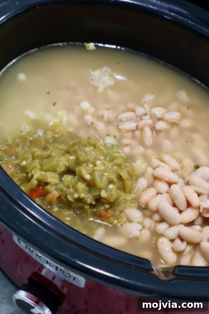 Homestyle White Chicken Chili 5 Green chilies and beans in a Crock Pot with chicken broth, ready to be stirred