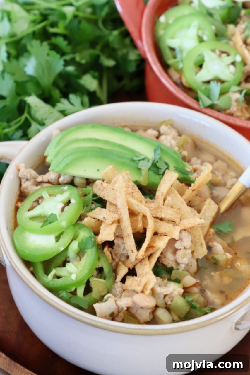 Homestyle White Chicken Chili 10 A single bowl of white chicken chili, beautifully garnished with a slice of jalapeño, avocado, and crunchy tortilla strips