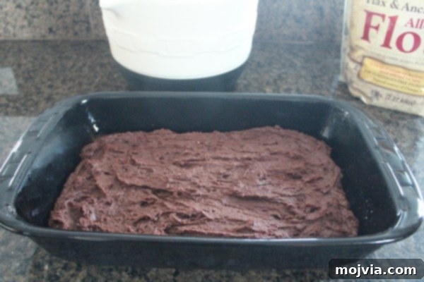 Irresistible Gluten-Free Nutella Brookies 9 Gluten Free Nutella Brookies Recipe