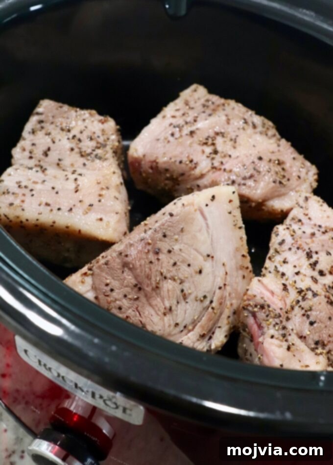Braised Pork Ragu 5 seared pork shoulder pieces in Crock Pot