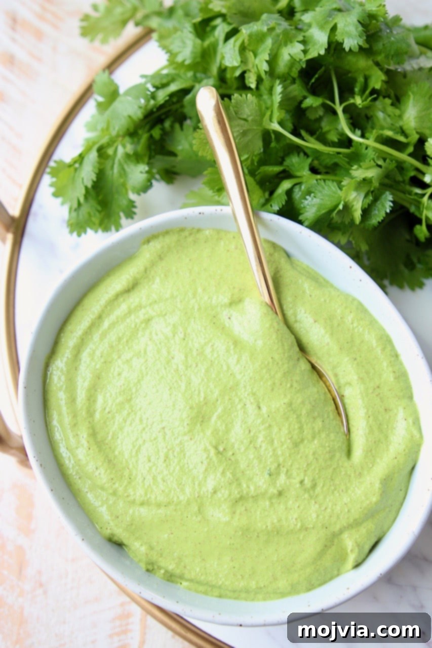 Zesty Cilantro Pesto 2 Fresh cilantro pesto in a bowl with a spoon, highlighting its vibrant green color and inviting texture