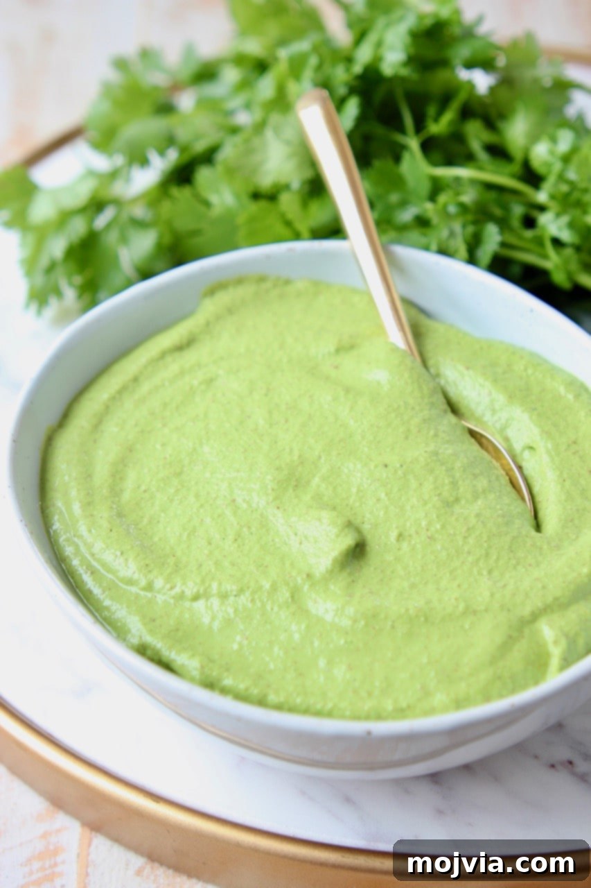 Zesty Cilantro Pesto 4 Vegan cilantro pesto in a bowl with fresh cilantro in the background, emphasizing its natural ingredients
