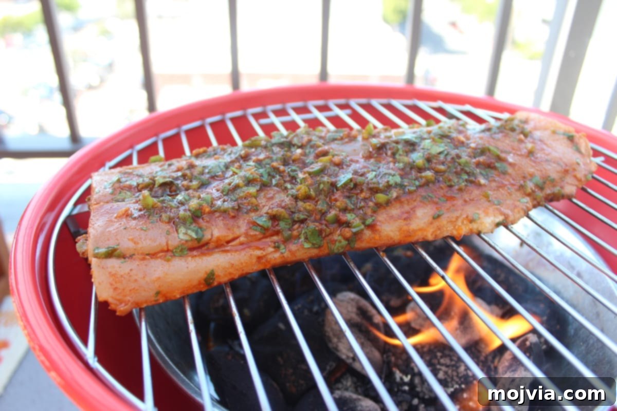 marinated filet of mahi mahi on grill
