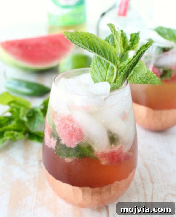 Crimson Kick Mojito 8 Refreshing Watermelon Jalapeno Mojito in a glass