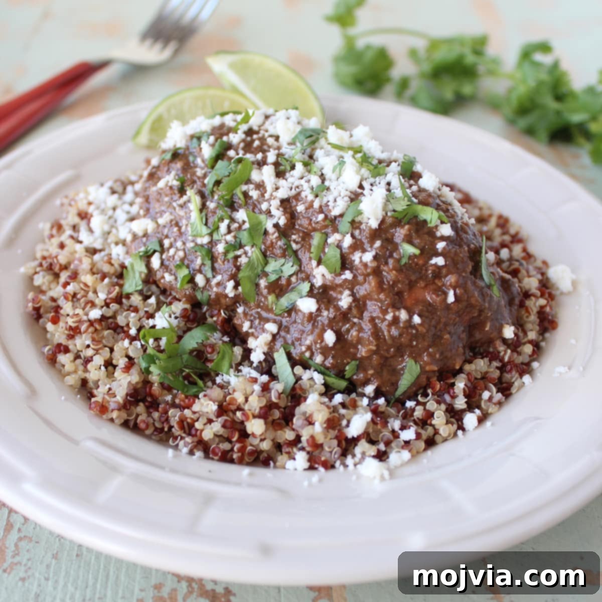 Deeply Flavorful Slow Cooker Chicken Mole 5 Slow Cooker Chicken Mole ready to be served, showing tender shredded chicken coated in rich sauce.