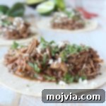 Slow Cooker Chicken Mole Tacos Recipe