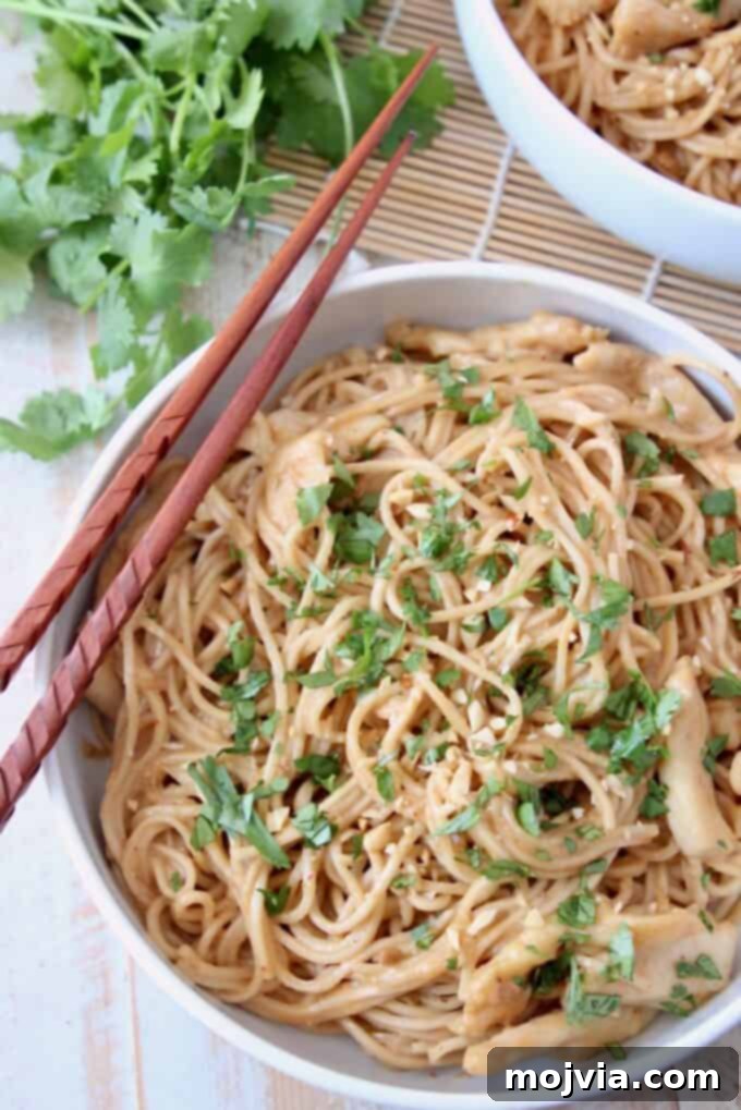 overhead image of noodles in bowl with chopsticks on the side