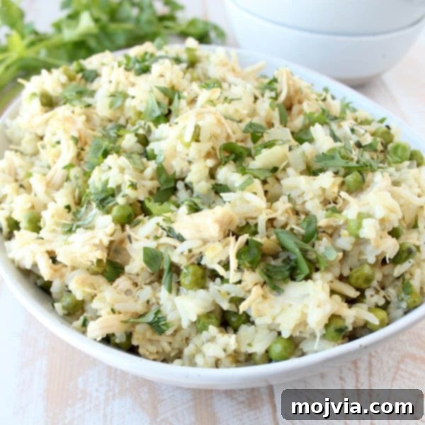 Serving of Green Curry Chicken Fried Rice in a bowl