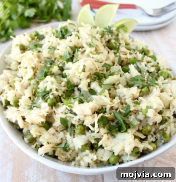 Finished plate of Green Curry Chicken Fried Rice