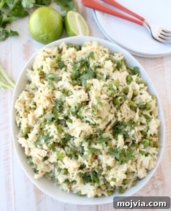 Another perspective of Green Curry Chicken Fried Rice, ready to eat