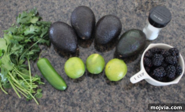 Berry Blaze Guacamole 6 Blackberry Jalapeno Guacamole Recipe Ingredients