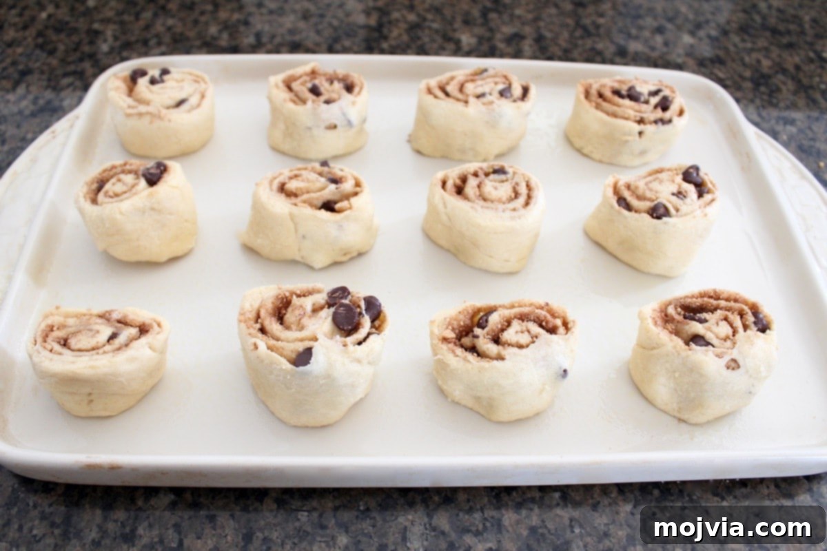 Unbaked S'Mores Cinnamon Rolls arranged on a baking sheet.
