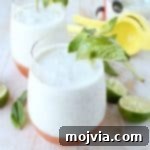 Tropical Coconut Mojito Freeze 2 Frozen Coconut Mojito Recipe