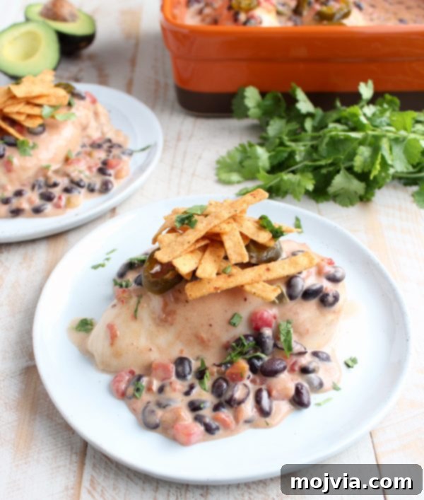 Golden Nacho Chicken Delight 2 Baked Nacho Chicken Recipe - Overview