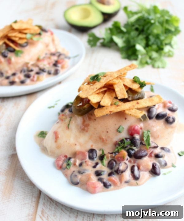 Golden Nacho Chicken Delight 3 Baked Nacho Chicken - The Concept