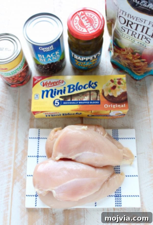 Golden Nacho Chicken Delight 5 Baked Nacho Chicken Recipe Ingredients Layou