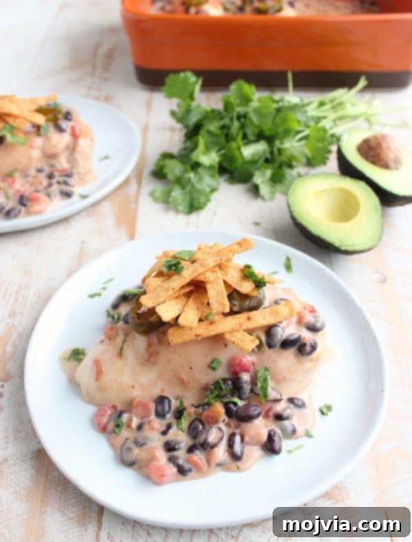 Golden Nacho Chicken Delight 7 Baked Nacho Chicken Recipe - Plated Dish